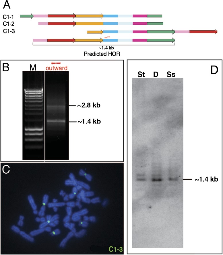 FIG. 6.—