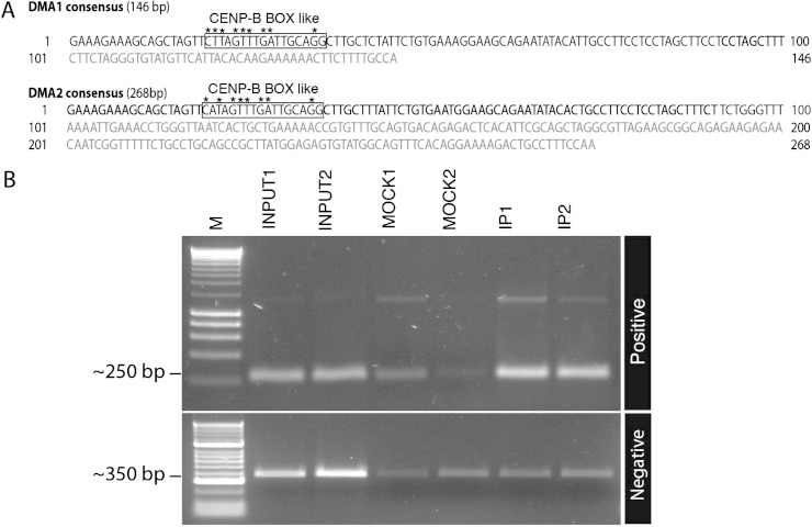 FIG. 2.—