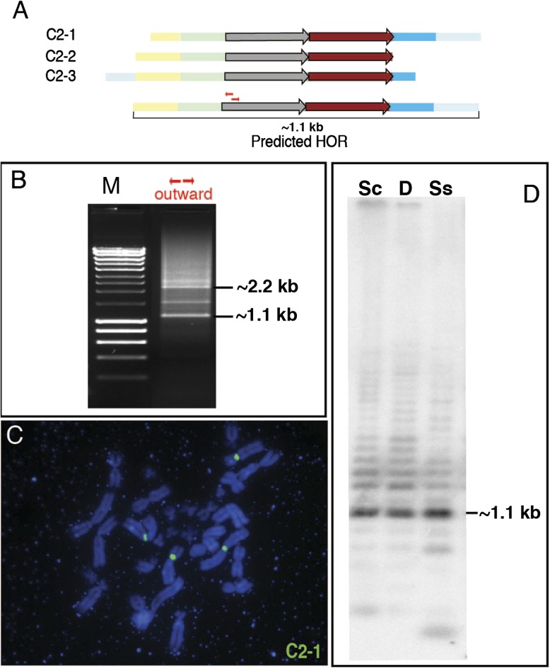 FIG. 7.—