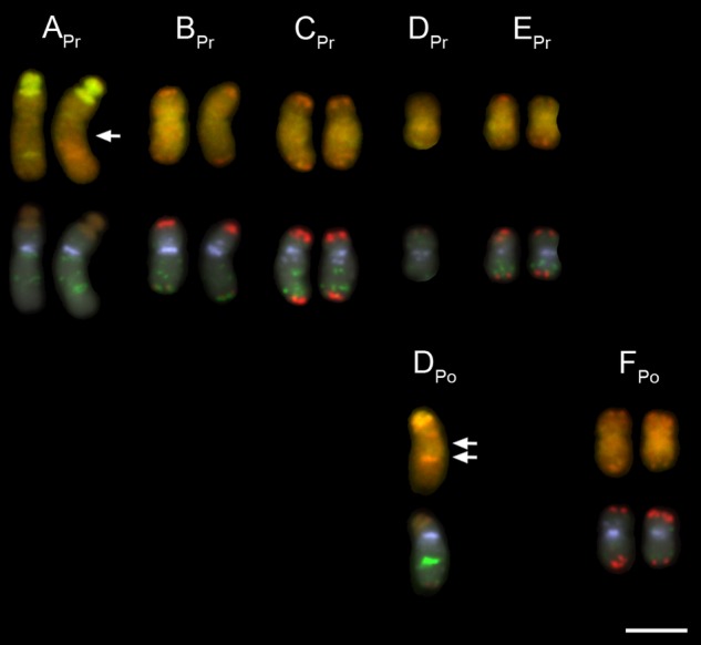 Figure 5.