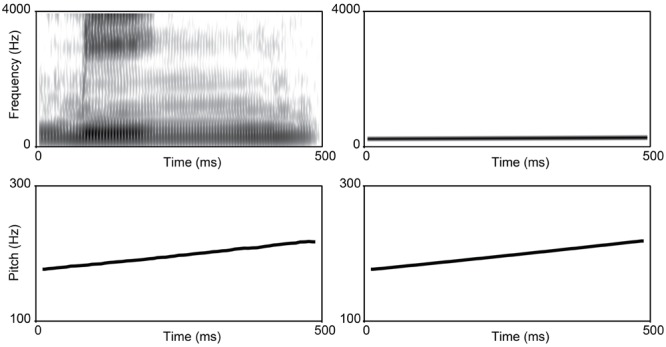 FIGURE 3