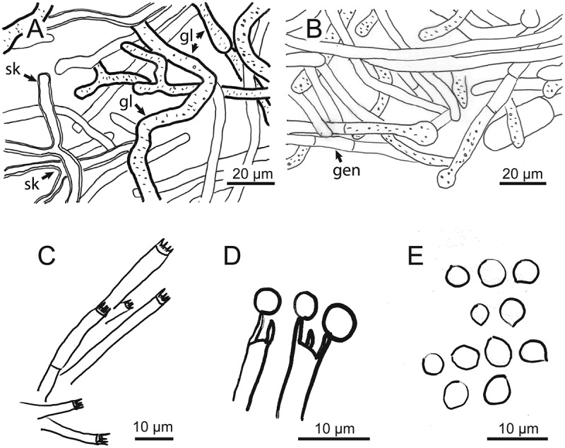 Figure 4.