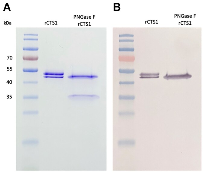 Figure 2.