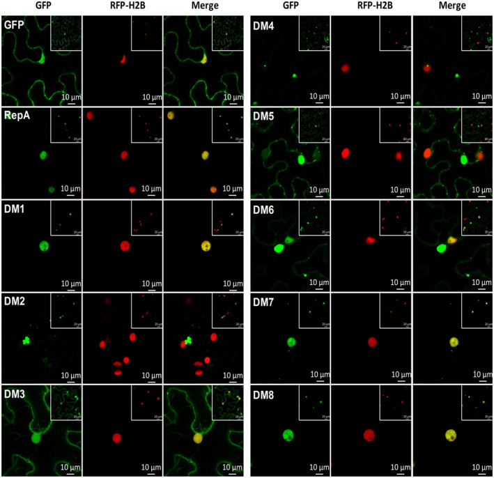 FIGURE 4