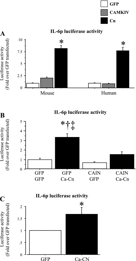 Fig. 4.