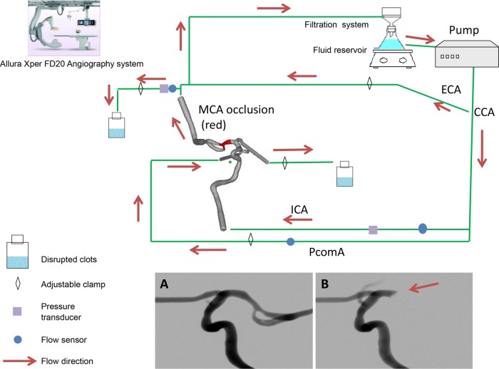 Figure 1