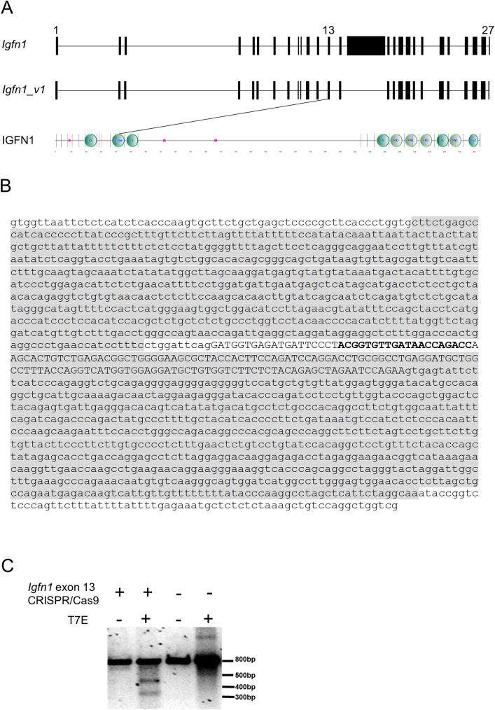 Fig 5