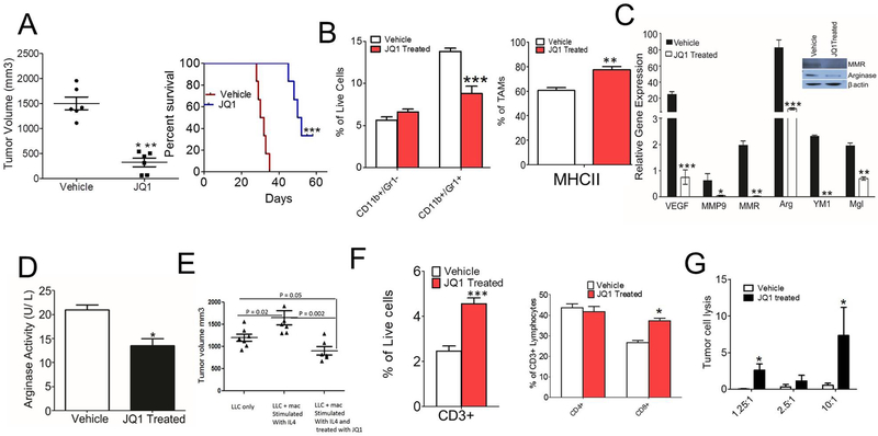 Fig. 3: