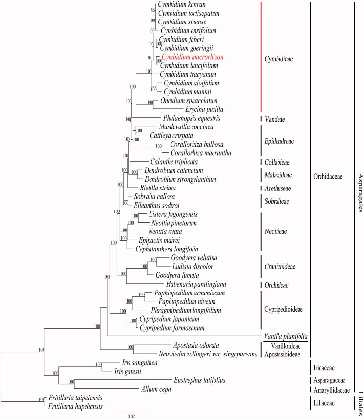 Figure 1.