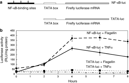 Fig. 1