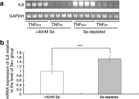 Fig. 4