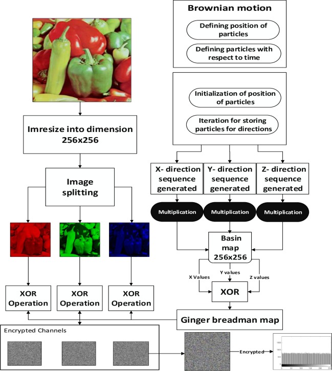 Fig 2