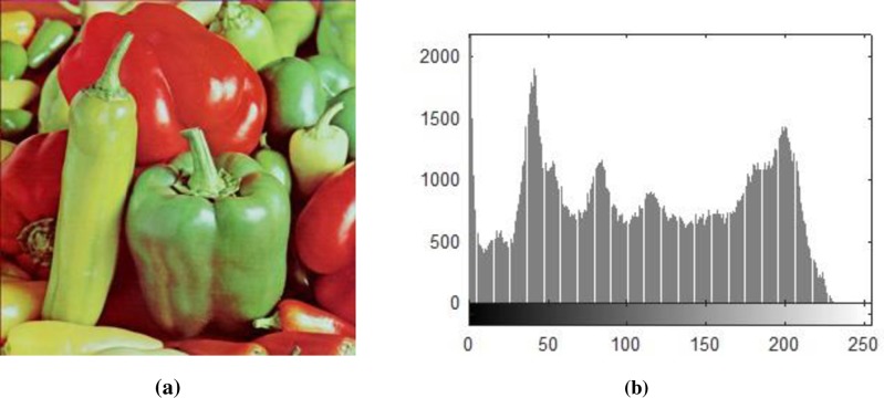 Fig 3