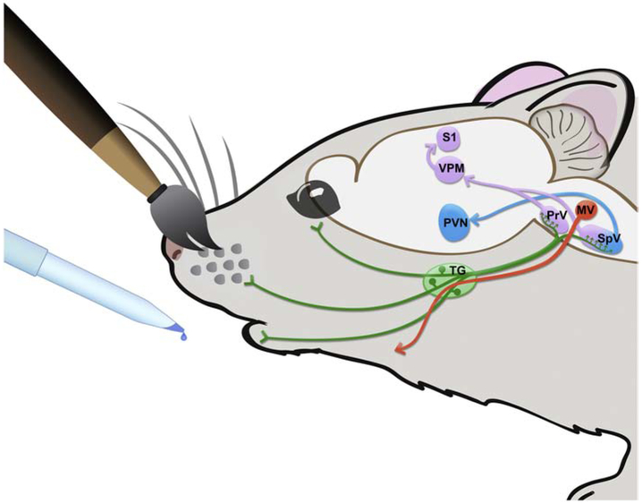 Figure 10: