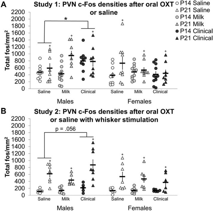 Figure 4: