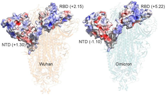 Image, graphical abstract