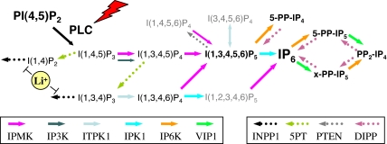 Fig. 1.