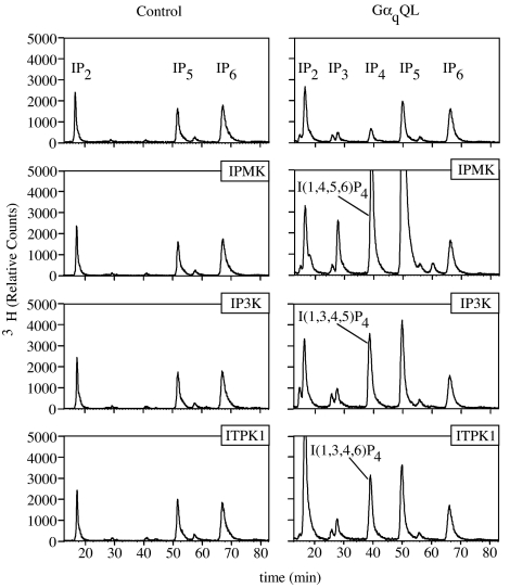 Fig. 3.