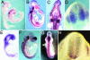 Fig. 3.