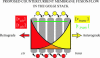 Figure 10.