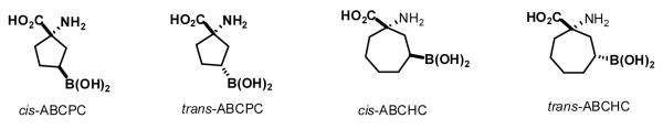 Fig.1