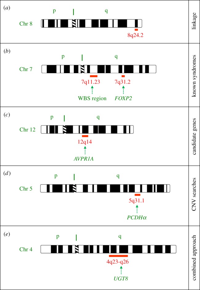 Figure 1.