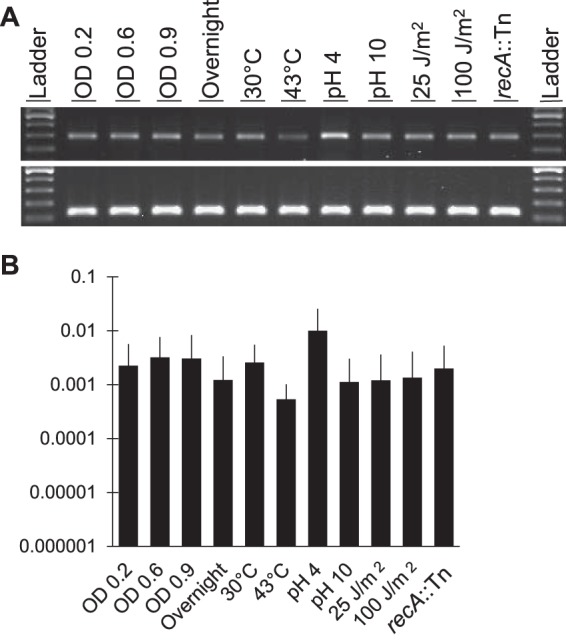 FIG 2