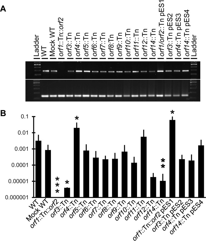 FIG 3