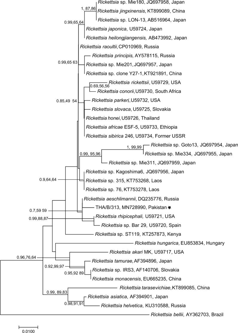 Fig. 6