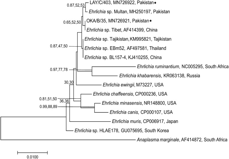 Fig. 4