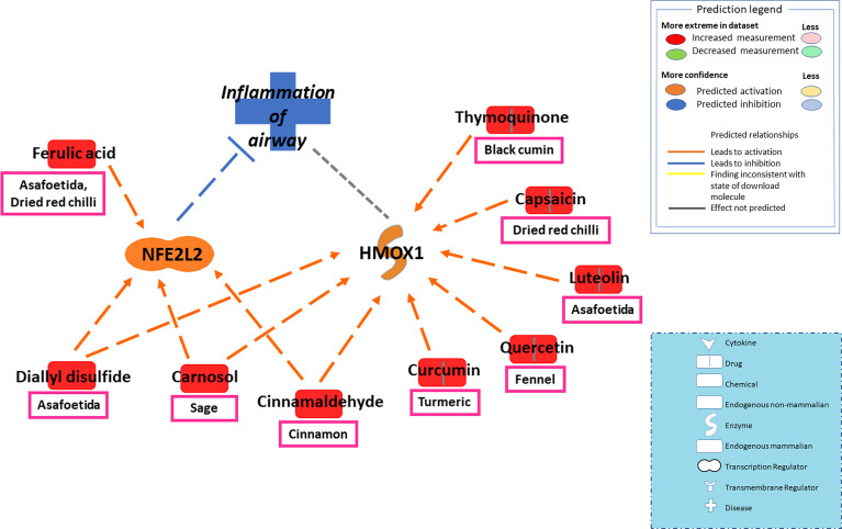 Figure 5