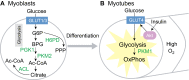 Fig. 8.