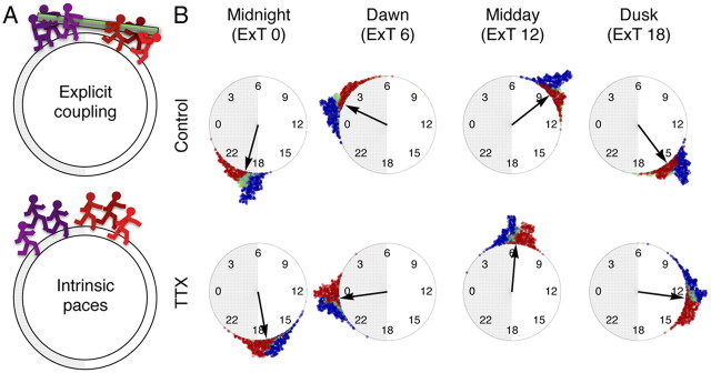 Figure 12.