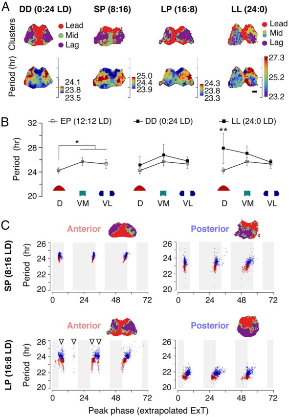 Figure 11.