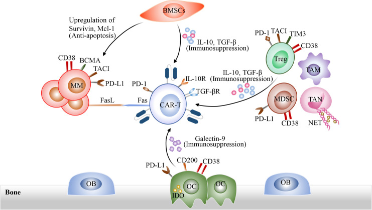 Figure 3