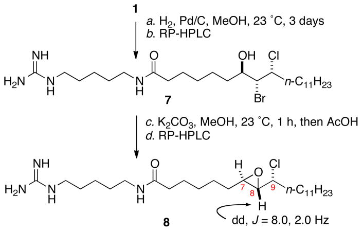 Scheme 1