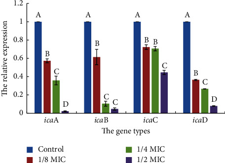 Figure 5