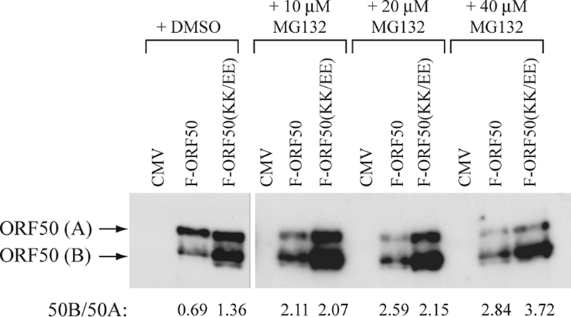 FIG. 11.