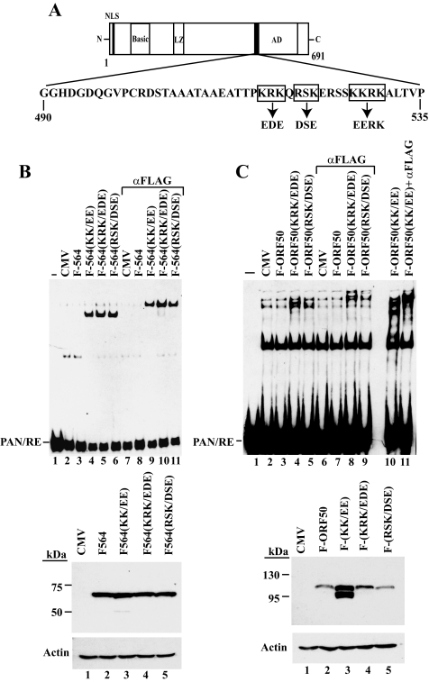 FIG. 5.