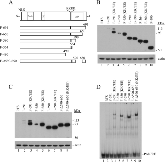 FIG. 2.