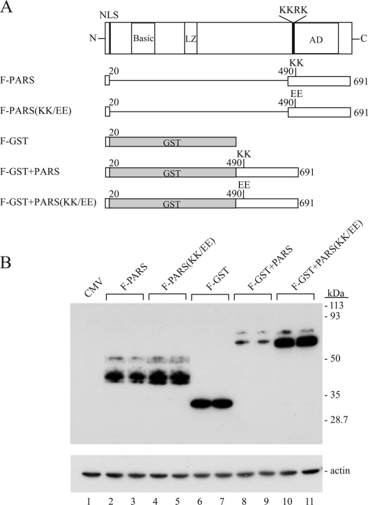 FIG. 10.