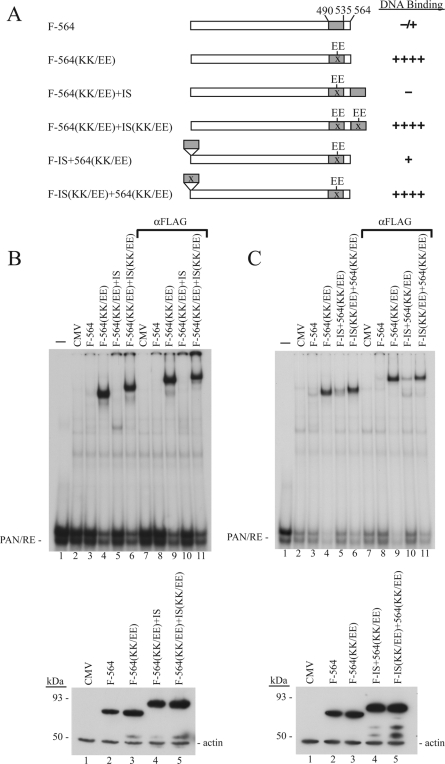 FIG. 6.