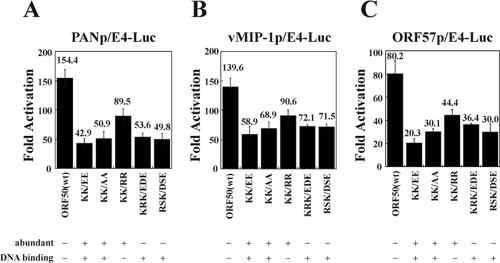 FIG. 12.