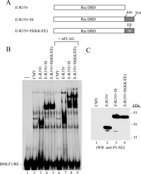 FIG. 7.