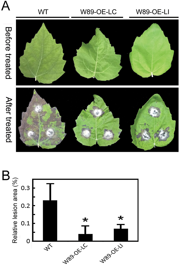 Fig. 8.