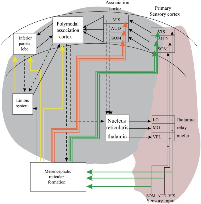 FIGURE 3