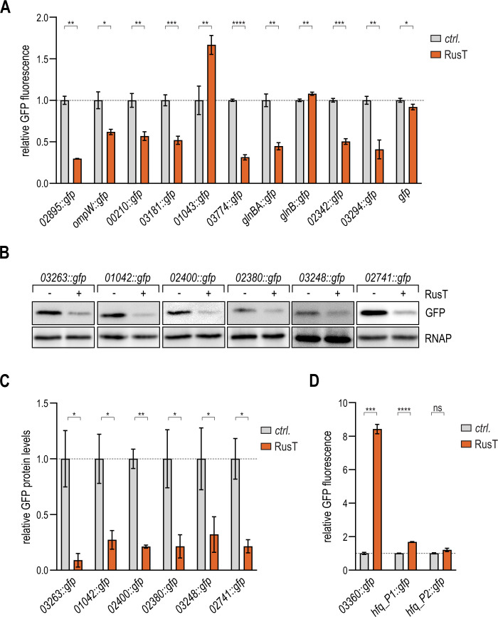 Fig 6