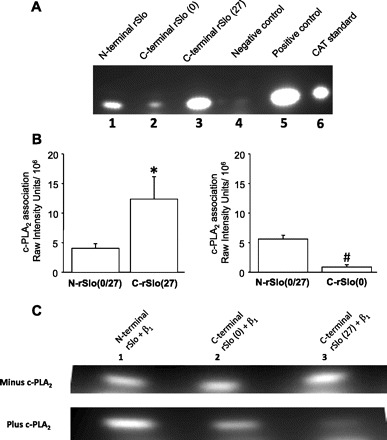 Fig. 9.