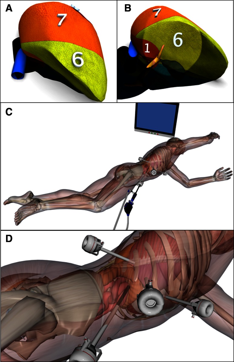 Fig. 2