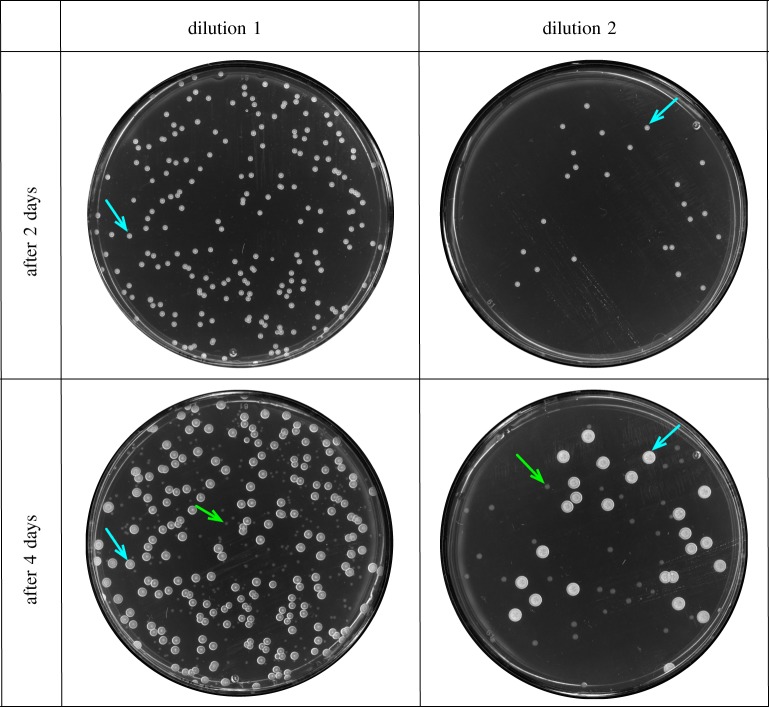 Figure 1.